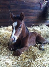 1237043_10201752292350213_818551618_n