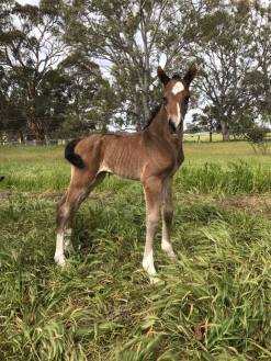 14522969_10210306339396043_4946785817462335797_n