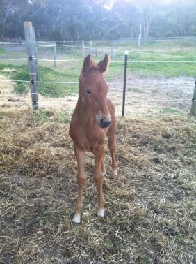 1456516_10202541156991336_1827770447_n